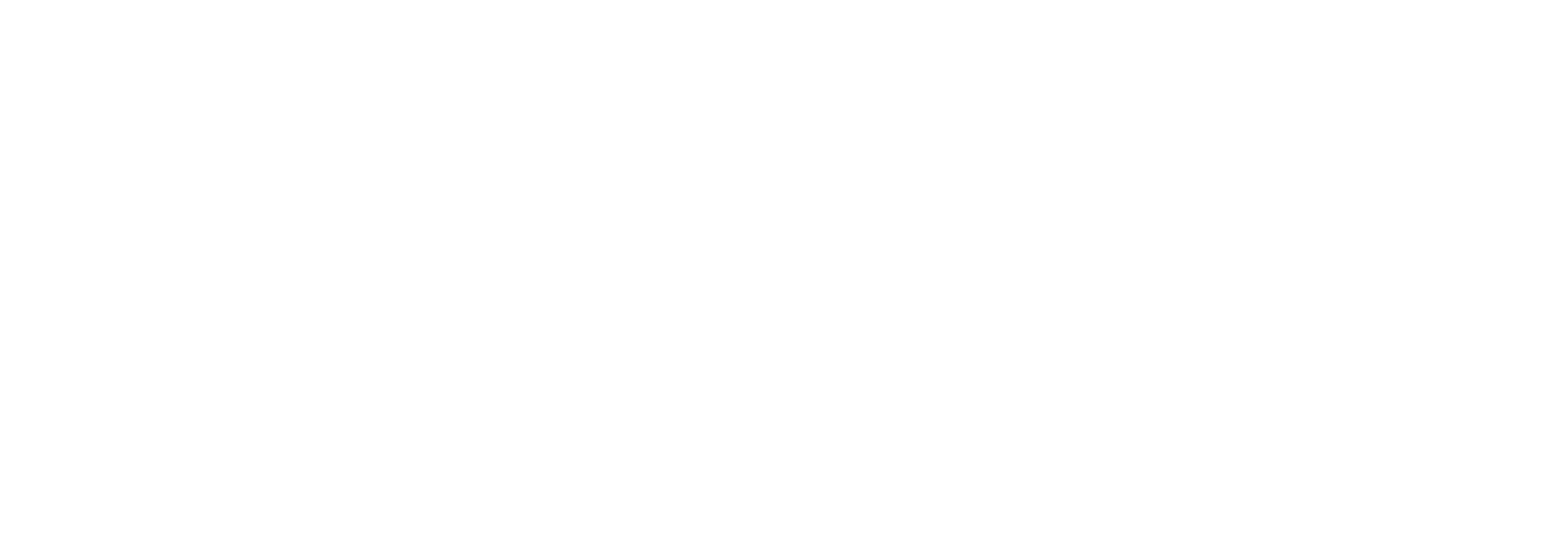 dynamx.am